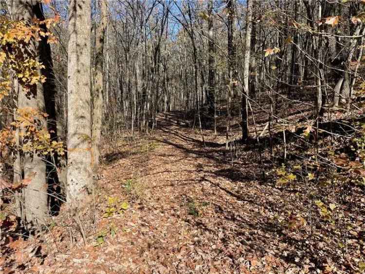 Land For Sale in Cumming, Georgia