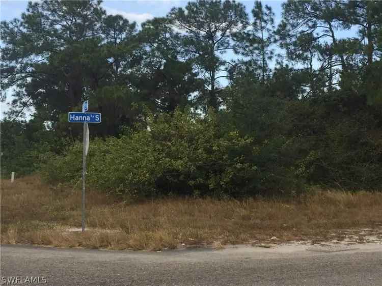 Land For Sale in 2800, 8th Street Southwest, Lehigh Acres, Florida