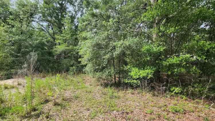 Land For Sale in Ocala, Florida