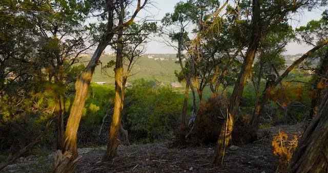 Land For Sale in Austin, Texas