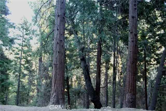 Land For Sale in Lake Arrowhead, California