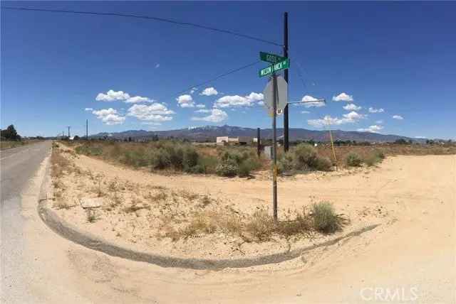 Land For Sale in Phelan, California