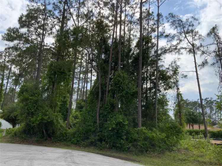 Land For Sale in Palm Coast, Florida