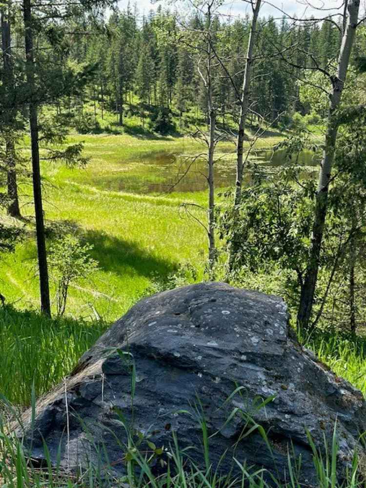 Land For Sale in 135, Tamarack Drive, Montana