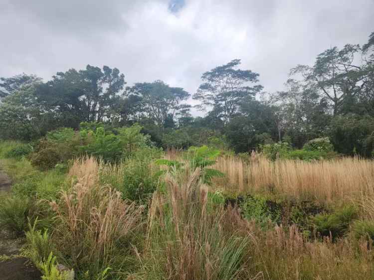 Land For Sale in 52, North Wilder Road, Hilo, Hawaii