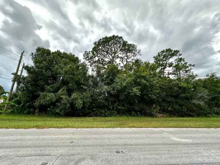 Land For Sale in 2192, Southwest del Rio Boulevard, Port Saint Lucie, Florida