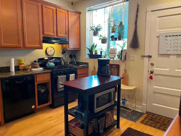 Huge 3BR Vintage Apartment in Edgewater Chicago