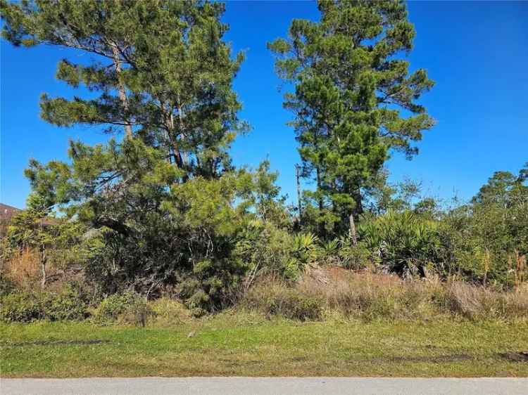 Land For Sale in Palm Coast, Florida