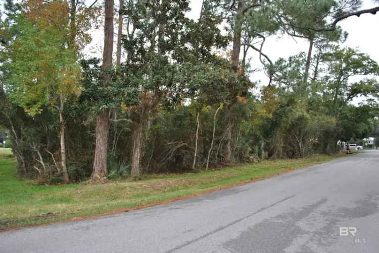 Land For Sale in Orange Beach, Alabama