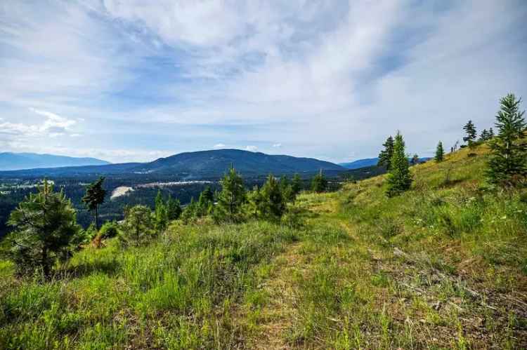 Land For Sale in 133, Two Tail Road, Bonners Ferry, Idaho