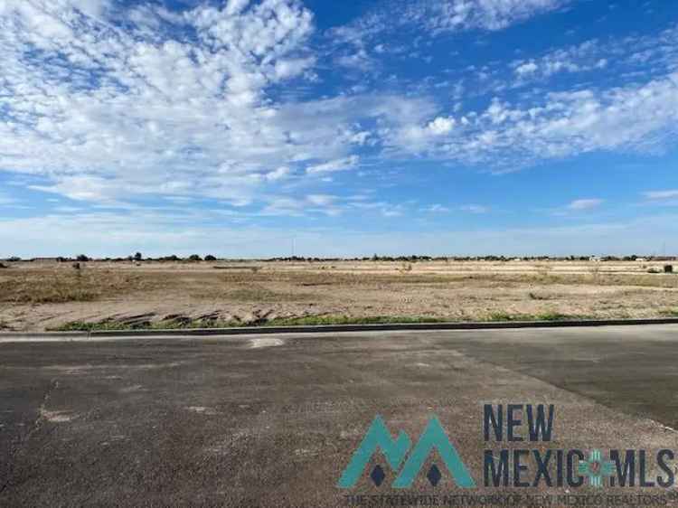 Land For Sale in Hobbs, New Mexico