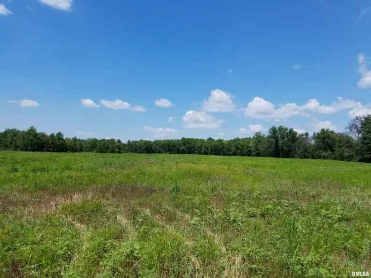 Land For Sale in 1020, West McCord Street, Centralia, Illinois