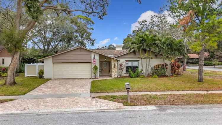 Single-family house For Sale in 3005, Enisglen Drive, Palm Harbor, Florida