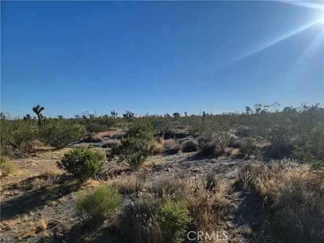 Land For Sale in Piñon Hills, California