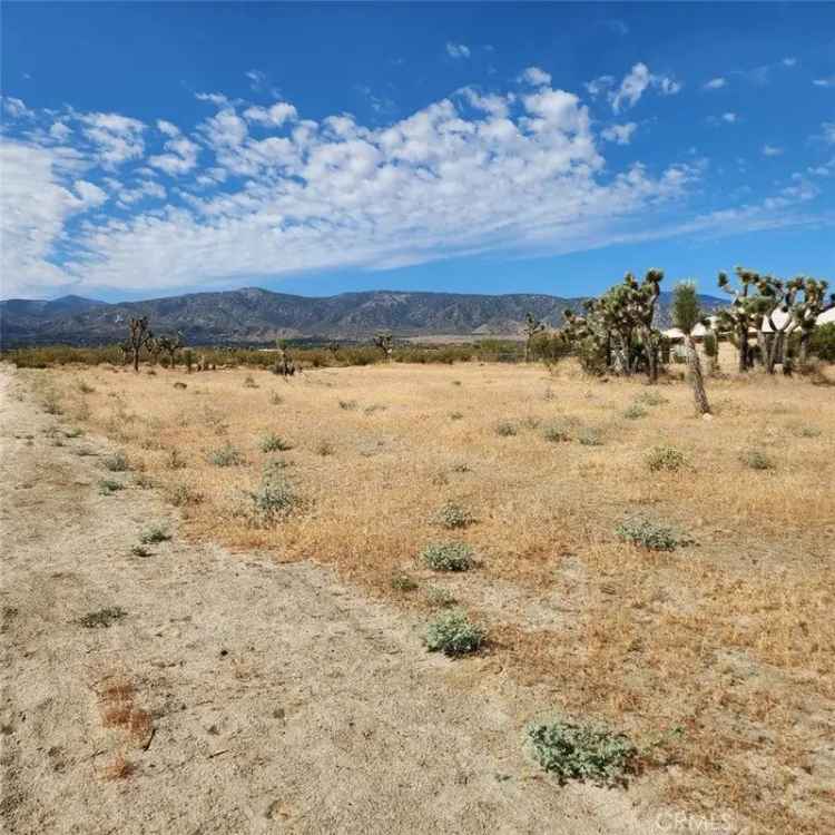 Land For Sale in Piñon Hills, California