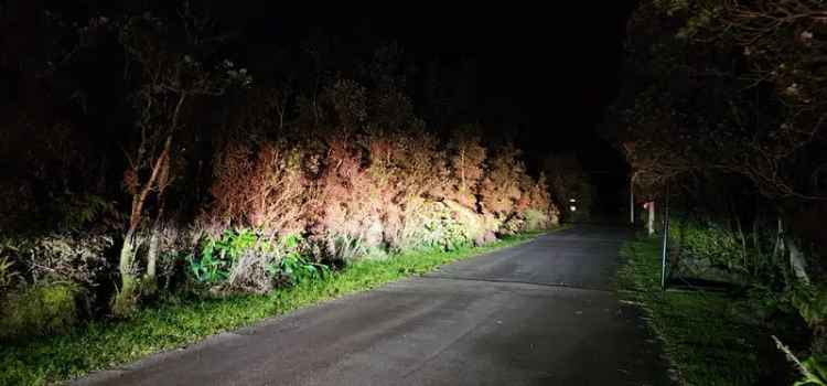 Land For Sale in Volcano, Hawaii