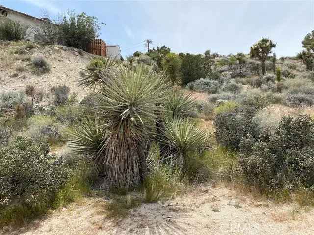 Land For Sale in Yucca Valley, California