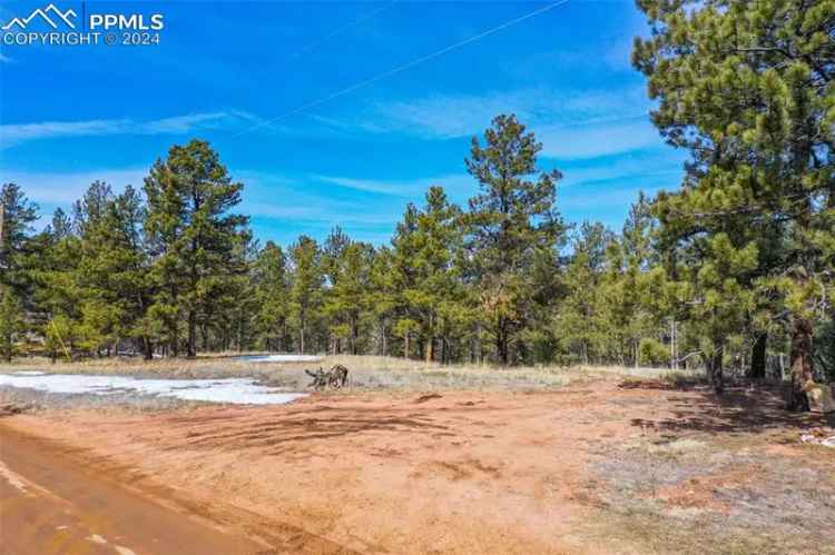 Land For Sale in 257, Mesa Drive, Florissant, Colorado