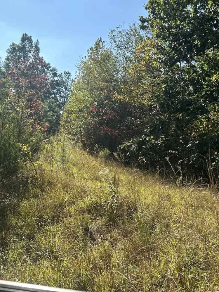 Land For Sale in 383, McCord Hollow Road, Tennessee