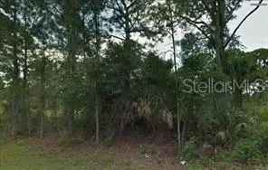 Land For Sale in North Port, Florida