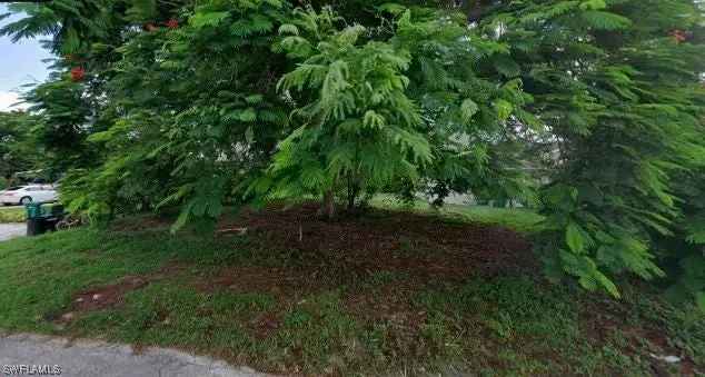 Land For Sale in East Naples, Florida