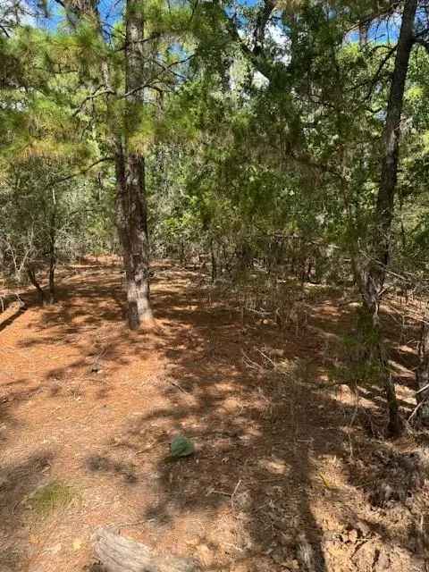 Land For Sale in 194, Molokini Drive, Texas