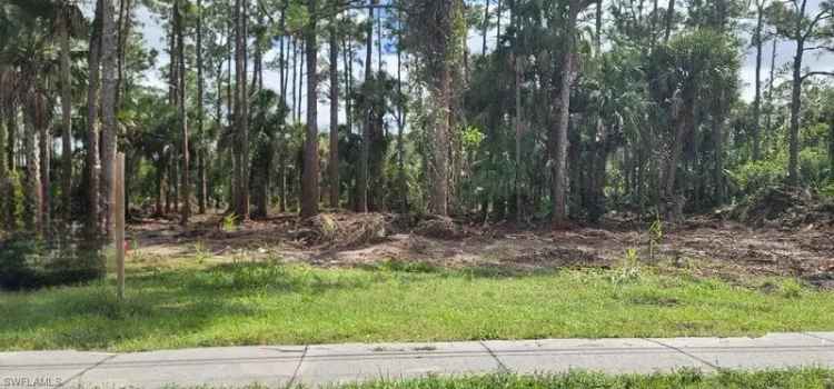 Land For Sale in Lehigh Acres, Florida