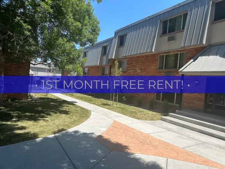 Apartments for Rent