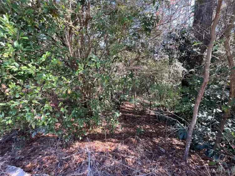 Land For Sale in 216, Morgan Lane, Enterprise, Alabama