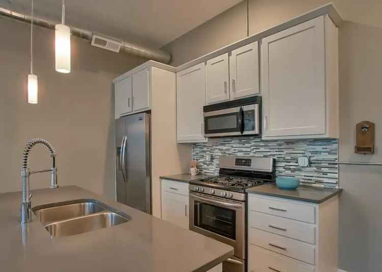 Downtown 1-Bedroom Apartment for Rent - Updated with Modern Amenities