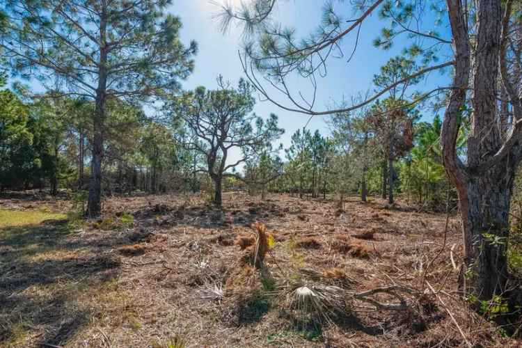 Land For Sale in Saint Augustine, Florida