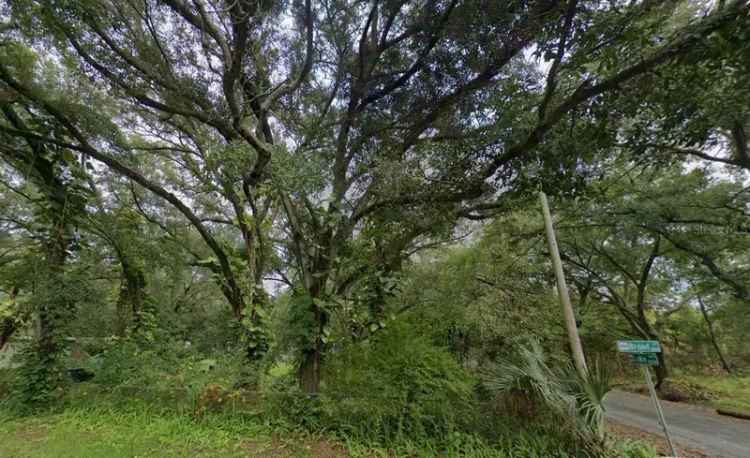 Land For Sale in Tampa, Florida