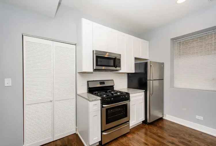 Logan Square 3 Bed 2 Bath Top Floor Apartment