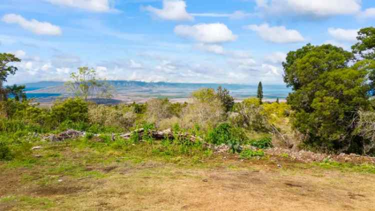 Land For Sale in Kula, Hawaii