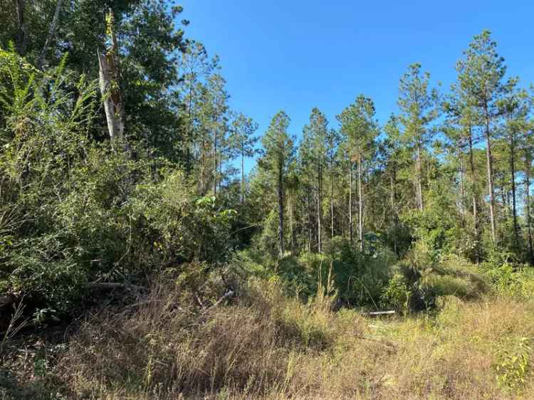 Land For Sale in Mississippi