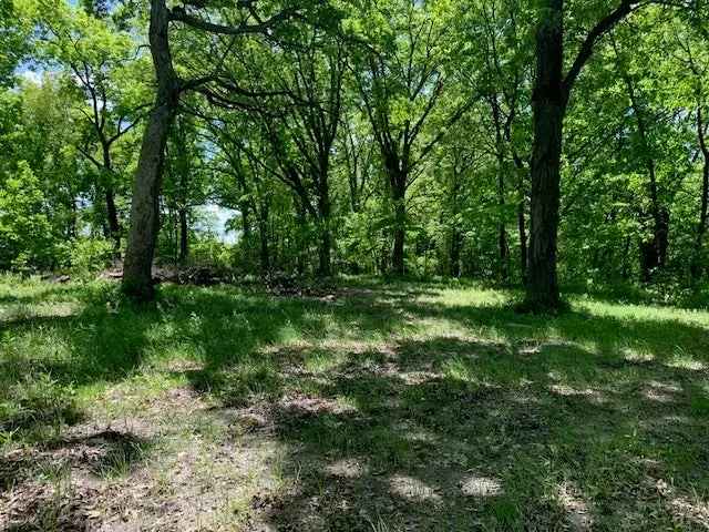 Land For Sale in 1129, Rutland Street, Marseilles, Illinois