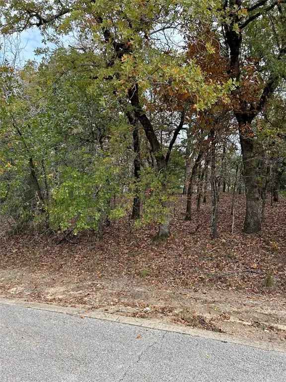 Land For Sale in Texas