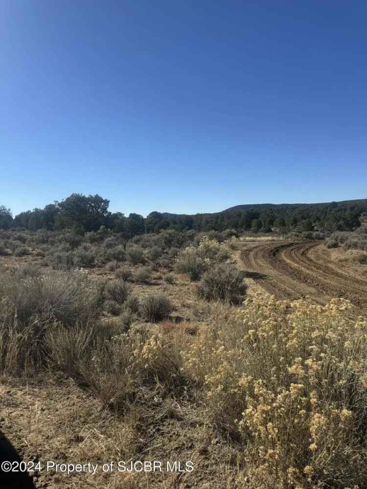 Land For Sale in New Mexico