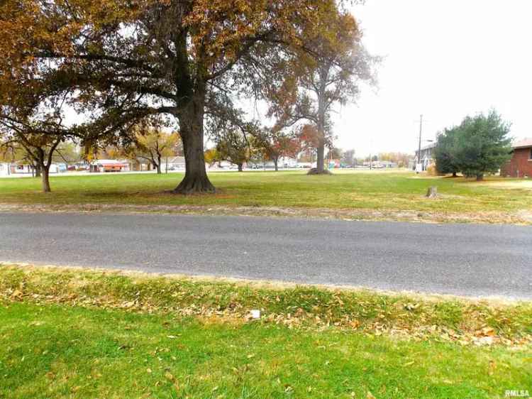 Land For Sale in 36, Buena Vista Terrace, Centralia, Illinois