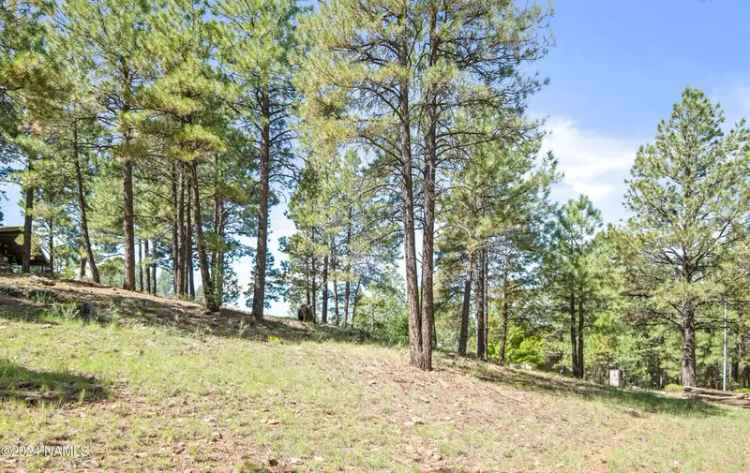 Land For Sale in 1654, North Wood Hollow Way, Flagstaff, Arizona