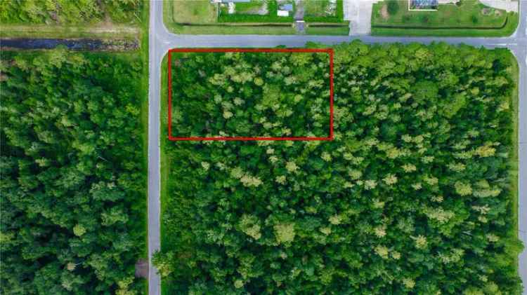 Land For Sale in Wedgefield, Florida