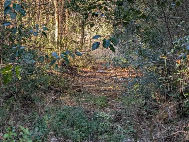 Land For Sale in Grand Bay, Alabama