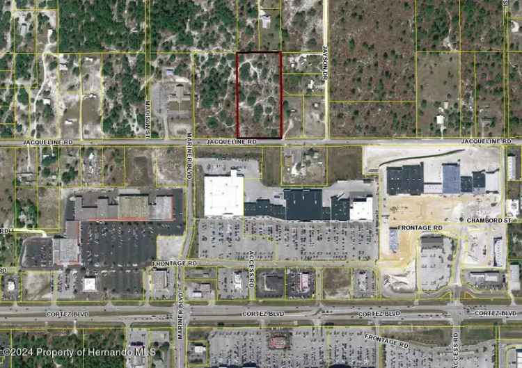 Land For Sale in 13131, Jacqueline Road, Florida