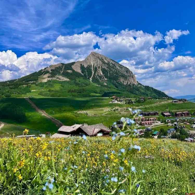 Land For Sale in 20, Buttercup Lane, Mount Crested Butte, Colorado