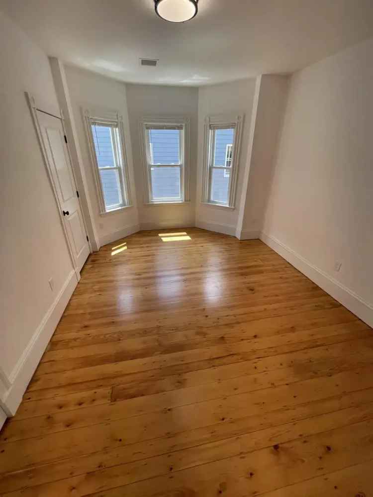 Jamaica Plain Apartment near Arnold Arboretum