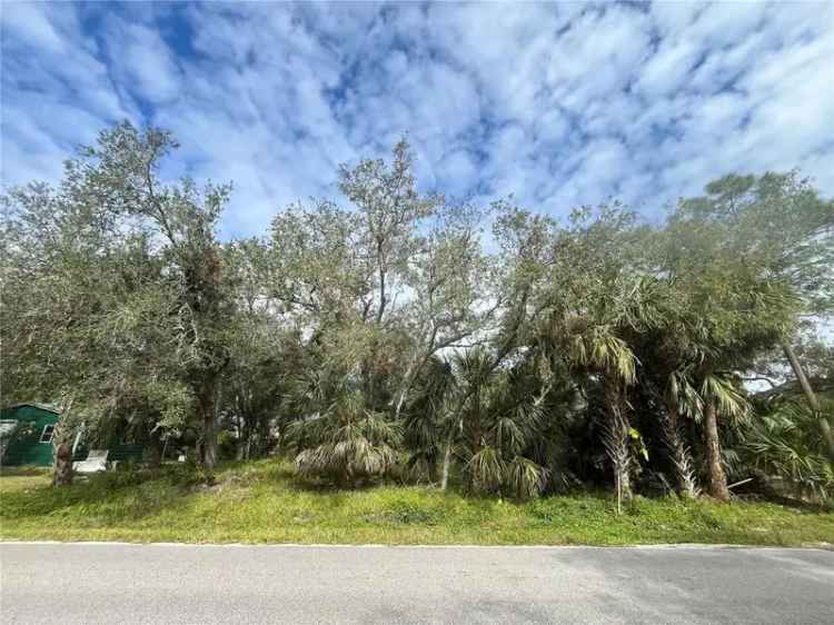 Land For Sale in 2557, Rock Creek Drive, Port Charlotte, Florida