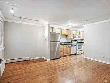 Charming Condo for Rent Near Washington Park - August Renovation