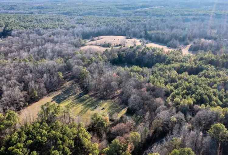 Land For Sale in 1299, Paul-Shady Grove Road, Mississippi