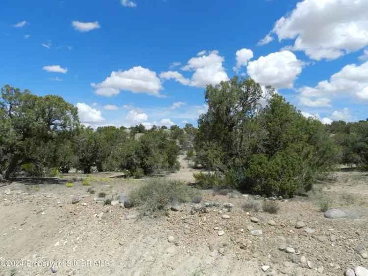 Land For Sale in Farmington, New Mexico