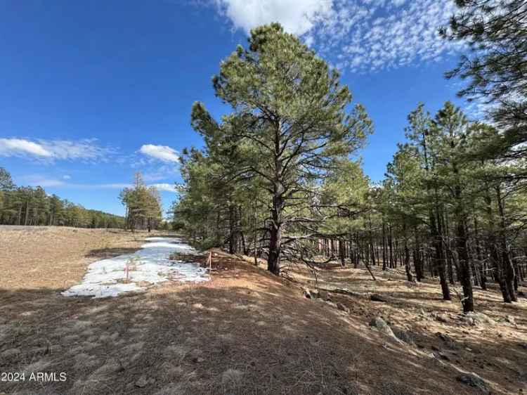 Land For Sale in Flagstaff, Arizona